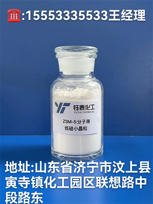 低硅小晶粒ZSM-5分子篩